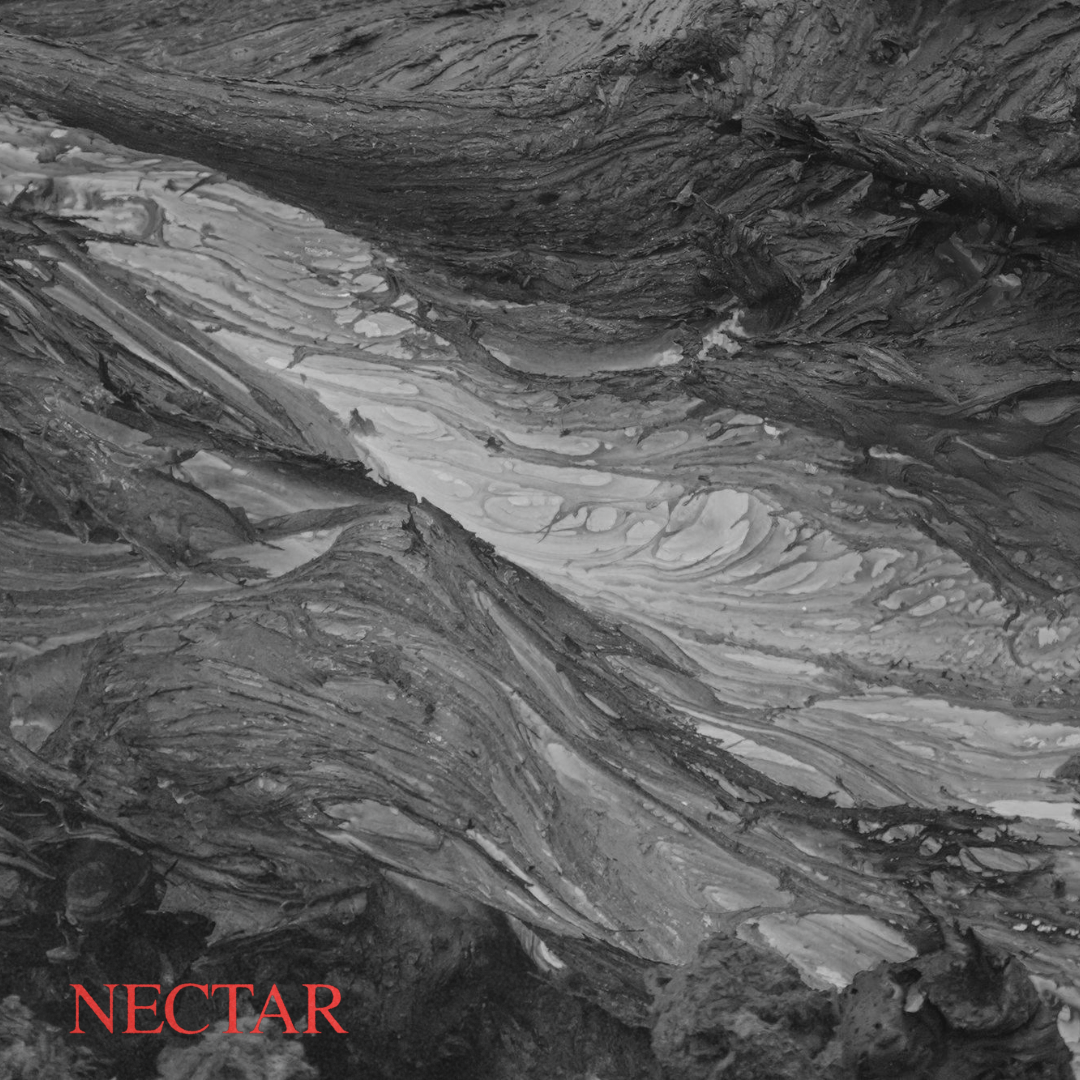 Nectar Album Cover